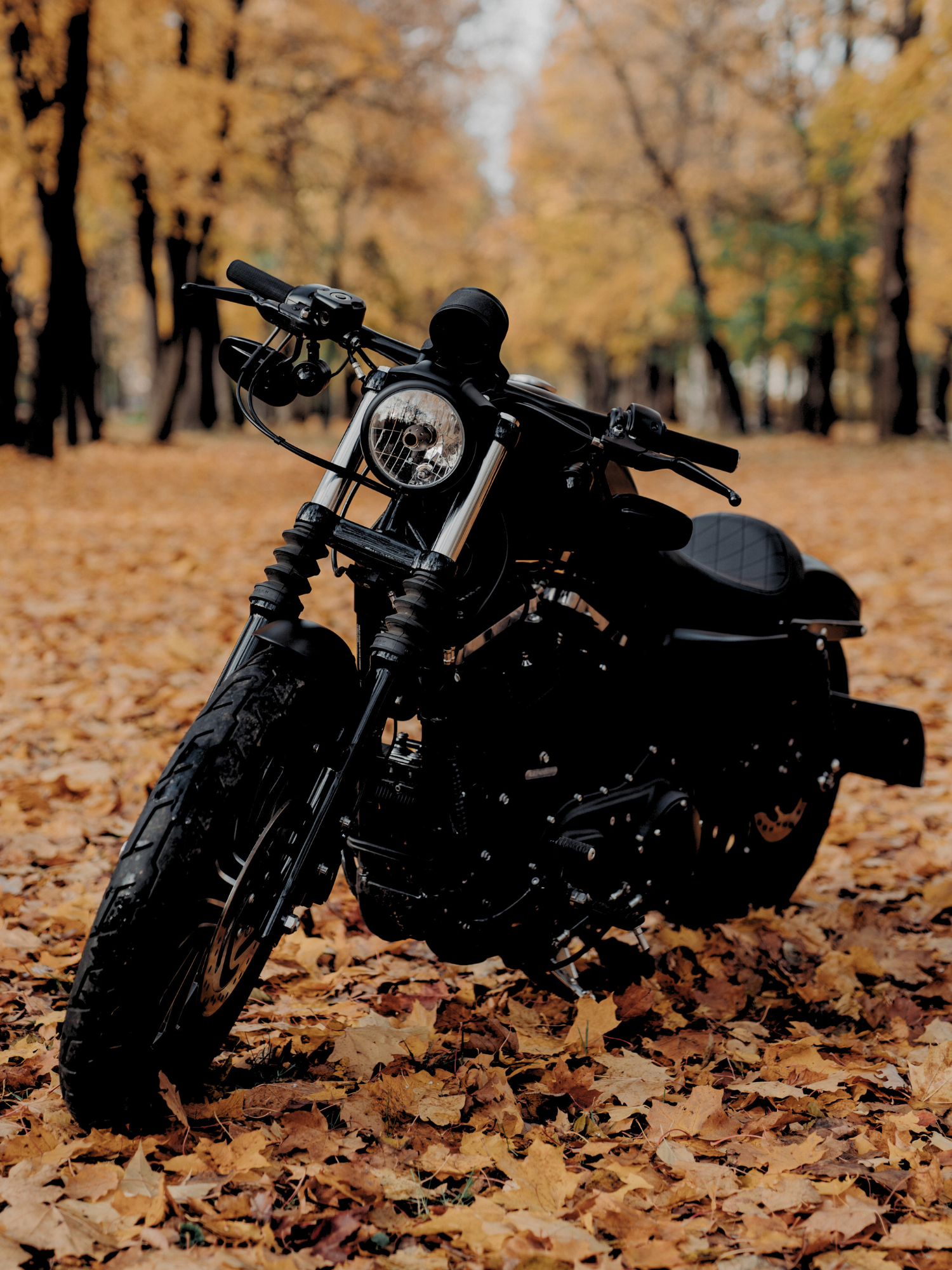 Color Protection Moto